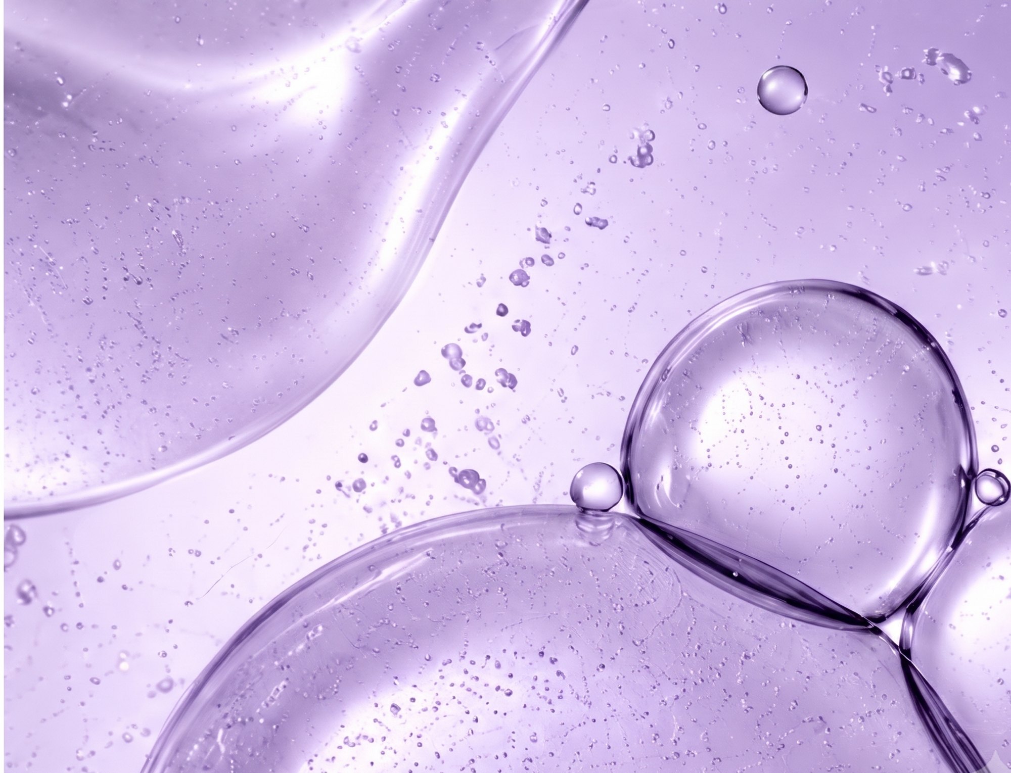 Regenerative bioactive gel macro