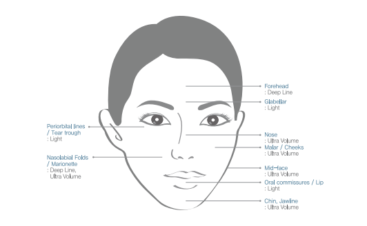 Elravie Premier treatment areas